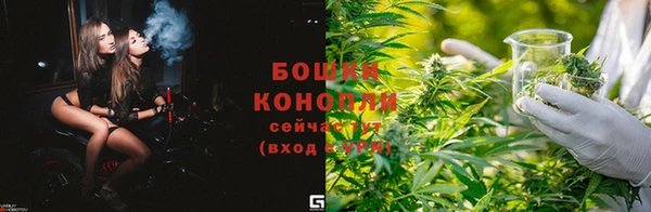 дмт Кинешма