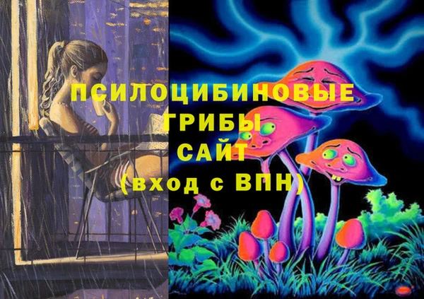 дмт Кинешма