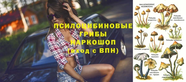 МДПВ Киреевск
